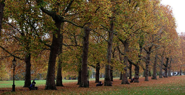 greenpark
