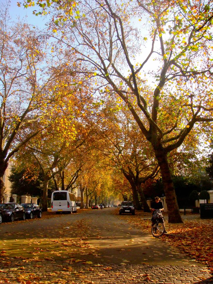 “Hyde Park” by Kurtis Garbutt is licensed under CC BY 2.0